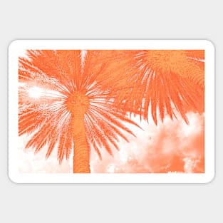 Palm Tree Abstract Sticker